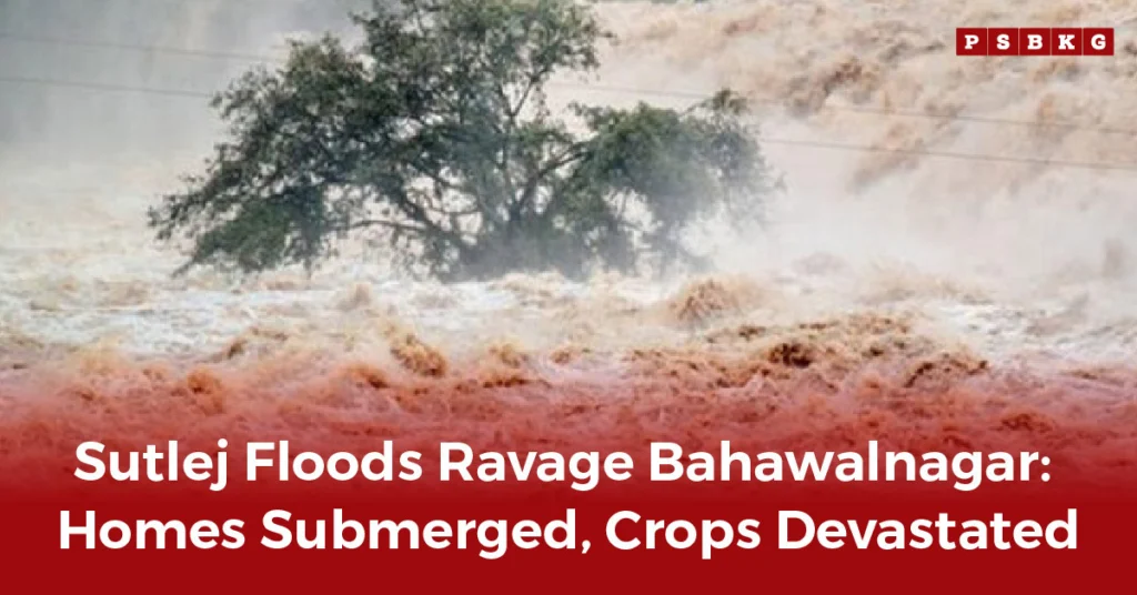 The Sutlej flood in Bahawalnagar engulfs homes and crops, leaving a solitary tree standing amid submerged land and devastation.