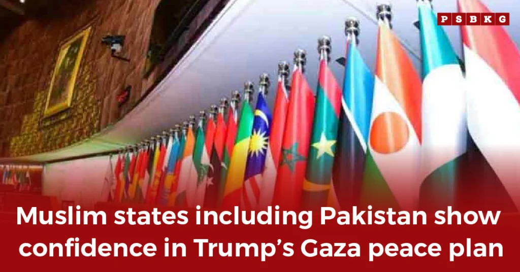 Display of national flags from Muslim states symbolizing support for Trump Gaza peace plan.