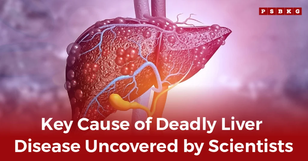 Digital illustration of a human liver highlighting blood vessels, with a title on recent findings about deadly liver disease cause.
