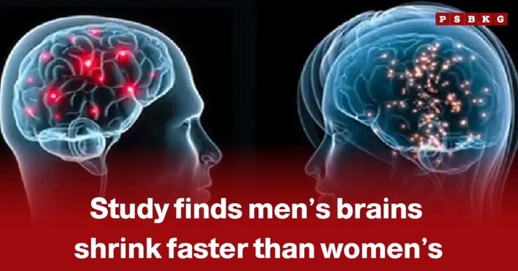 Side-by-side images of male and female brains with highlighted regions illustrating differences in brain size and activity, referencing a study showing that men’s brains shrink faster than women’s men brain shrink study.
