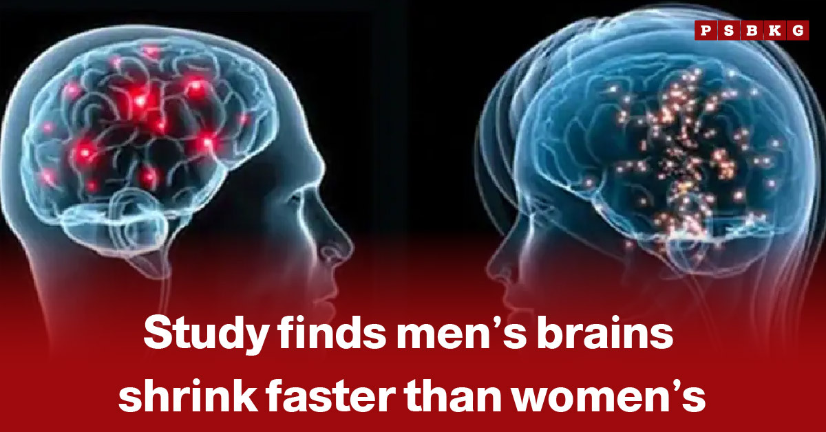 Side-by-side images of male and female brains with highlighted regions illustrating differences in brain size and activity, referencing a study showing that men’s brains shrink faster than women’s men brain shrink study.