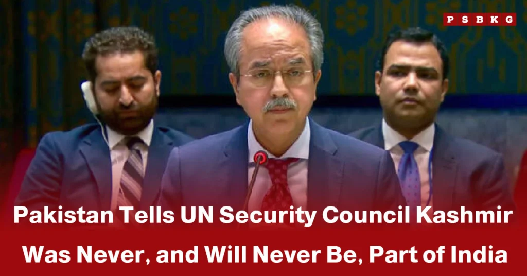 A speaker addresses the UN Security Council, asserting Pakistan Kashmir stance UN while delegates are seated in the background.