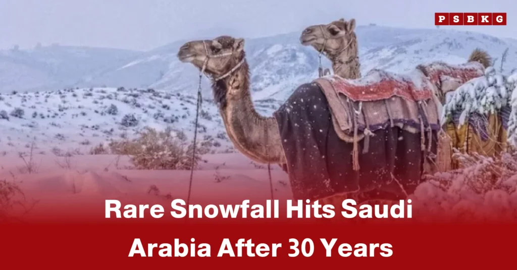 Two camels stand in a snowy landscape, highlighting rare snowfall in Saudi Arabia after 30 years as snow blankets the ground and hills.