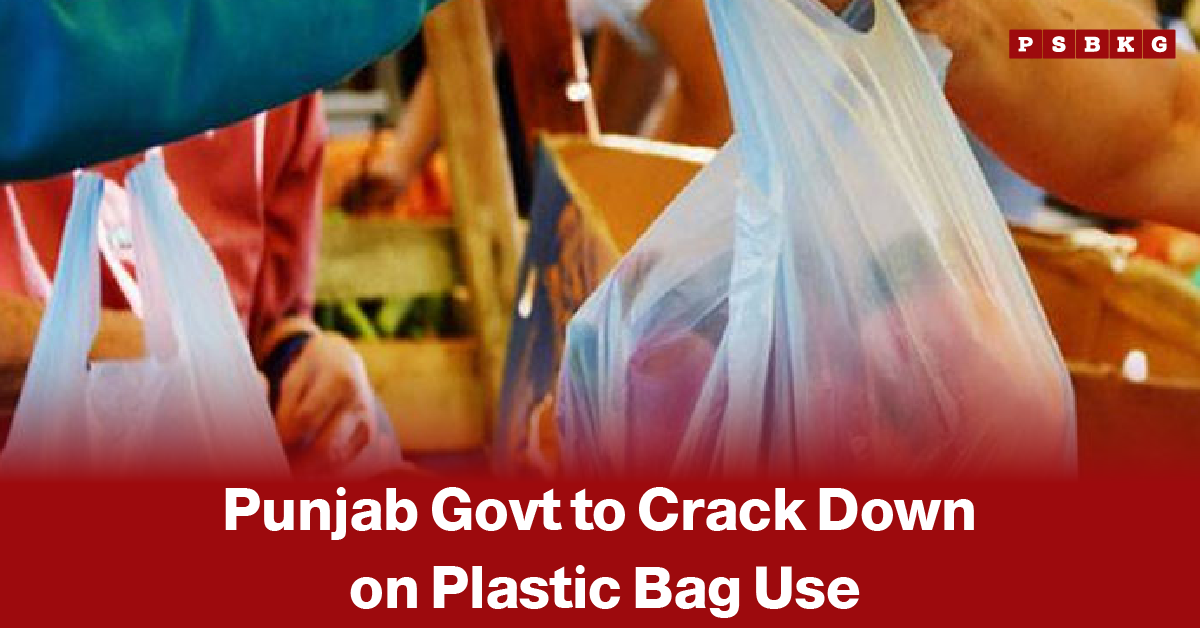Punjab plastic bag ban crackdown people holding plastic bags at a market with a headline about Punjab government’s crackdown on plastic bag use.