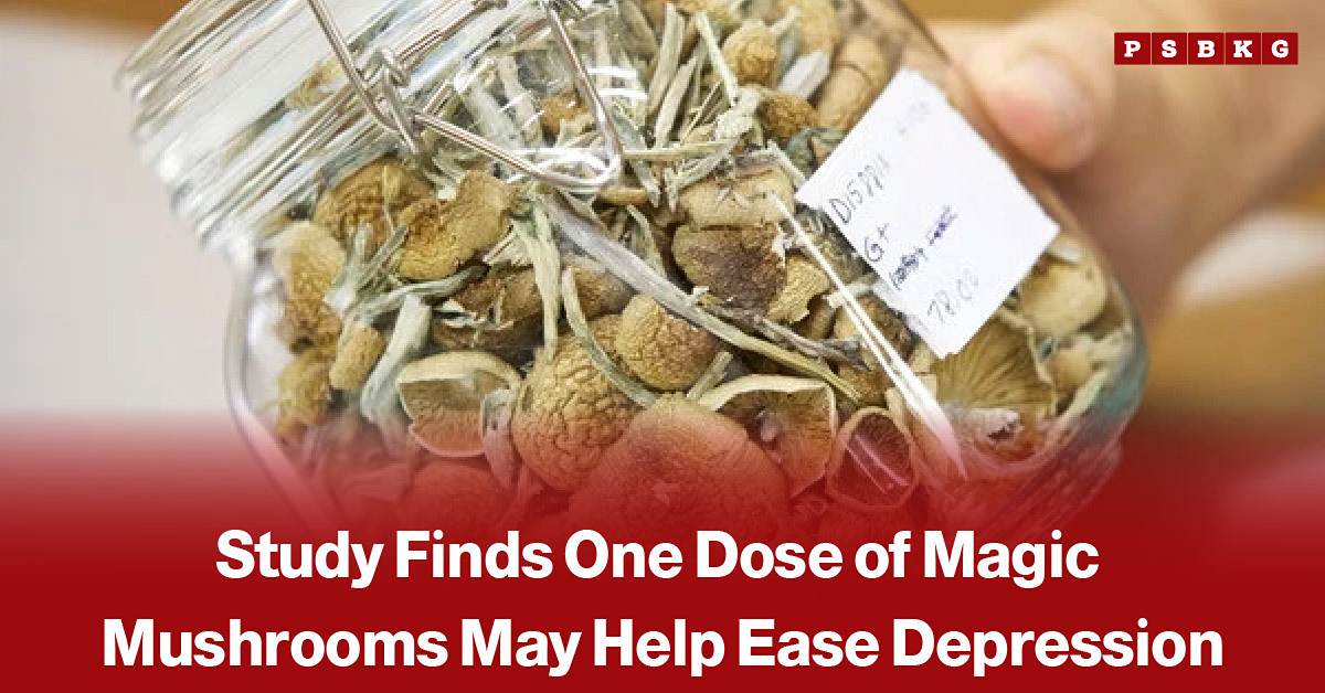 Magic mushrooms shown alongside a person representing mental health struggles, accompanied by a news-style headline about research into whether a single dose of psilocybin may help ease depression.