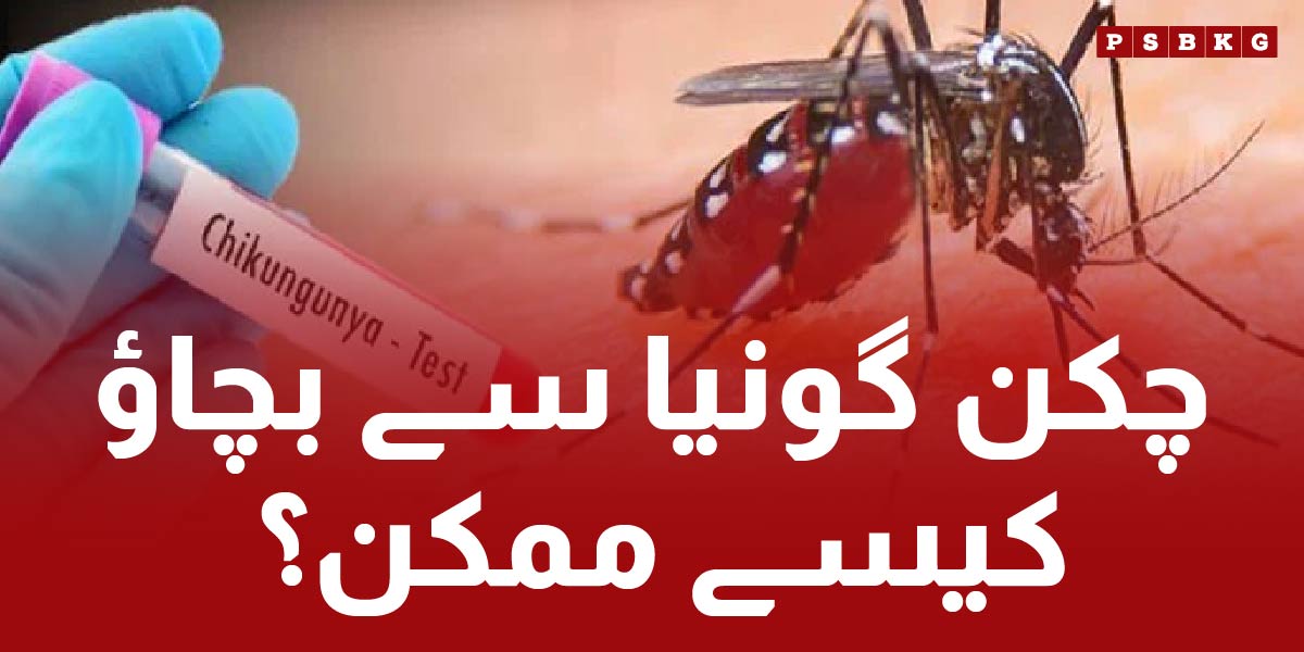 chikungunya virus symptoms and it vaccine for treatment