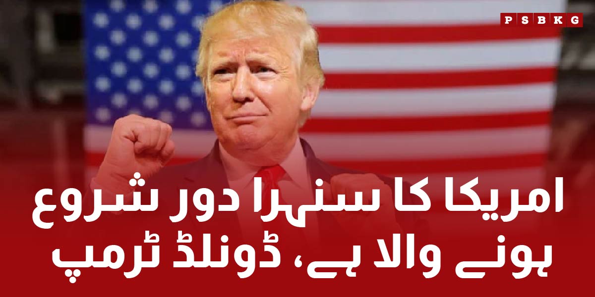 US presidential election campaign Donald Trump and Kamala Haris remarks.