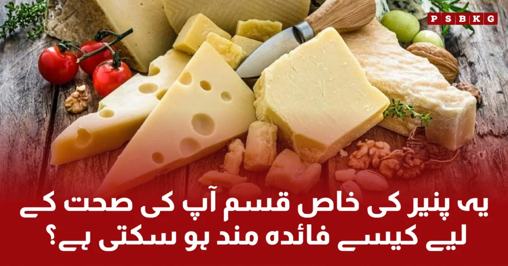 Camembert cheese benefits for health