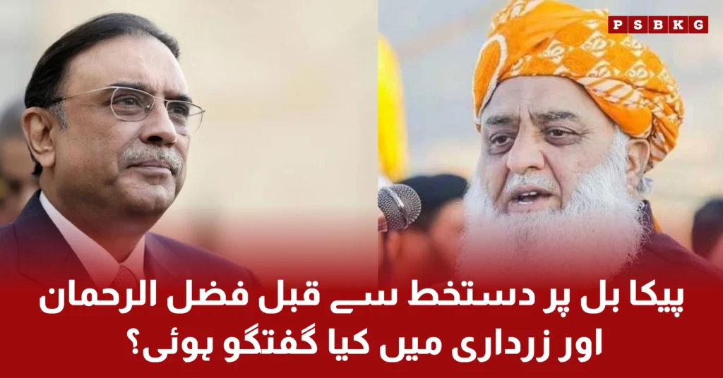 Discussion between Maulana Fazal ul Rehman and Asif Ali Zardari about PECA bill 2025 act