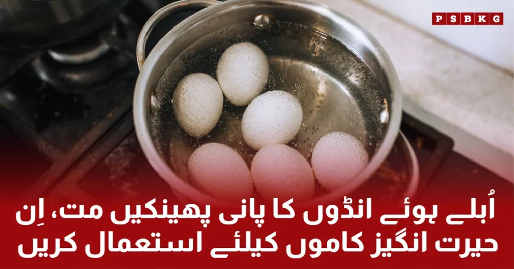 benefits of boiling eggs water for plants and soil