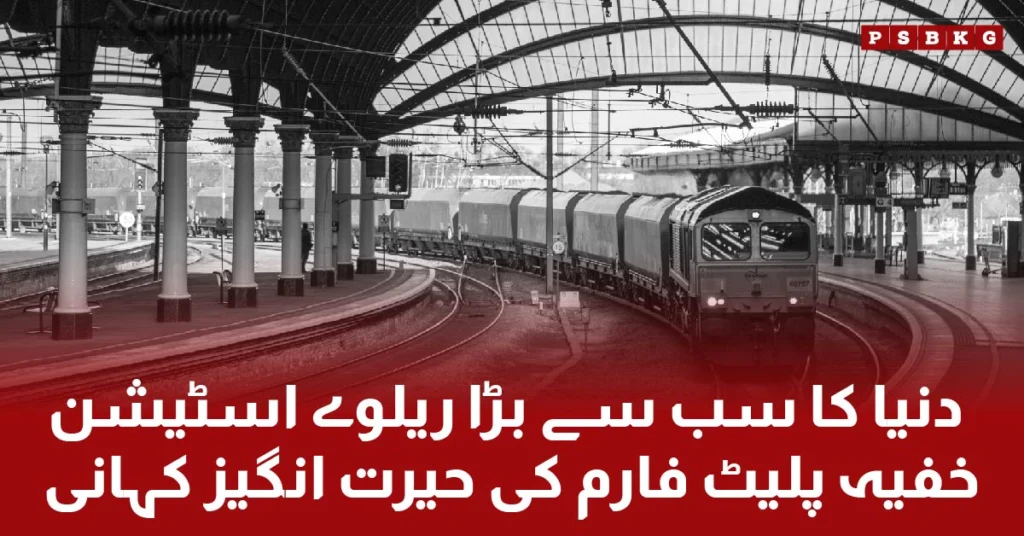 world largest railway station with hidden and strange platforms.
