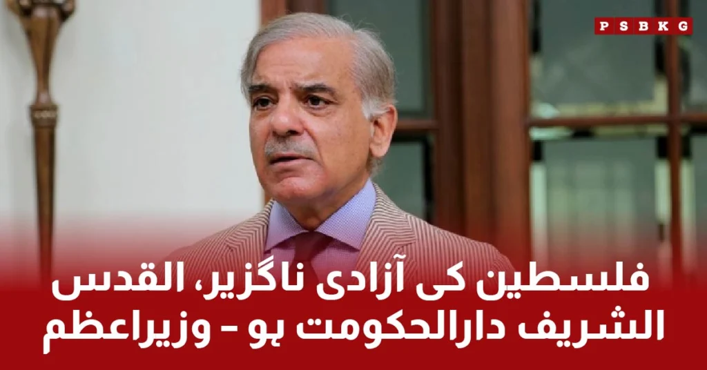 Prime Minister Shahbaz Shareef view that there should be independent state of Palestine