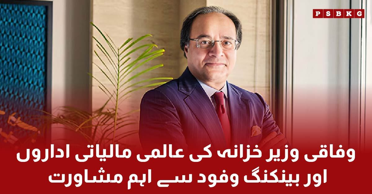 Federal Finance Minister Senator Muhammad Aurangzeb discusses Pakistan's economy at IMF and World Bank meetings in Washington