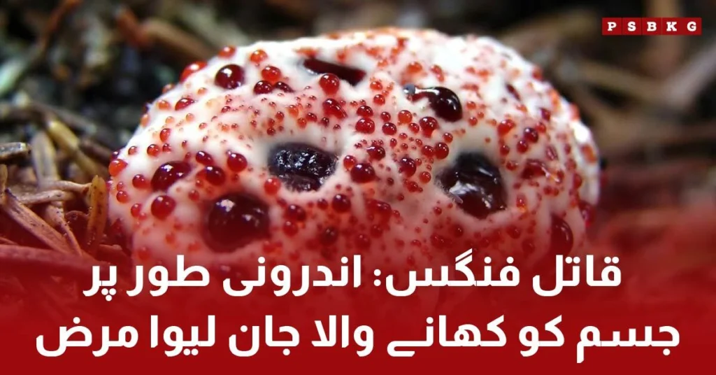 Aspergillus fungus spores affecting human lungs