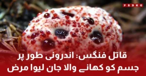 Aspergillus fungus spores affecting human lungs