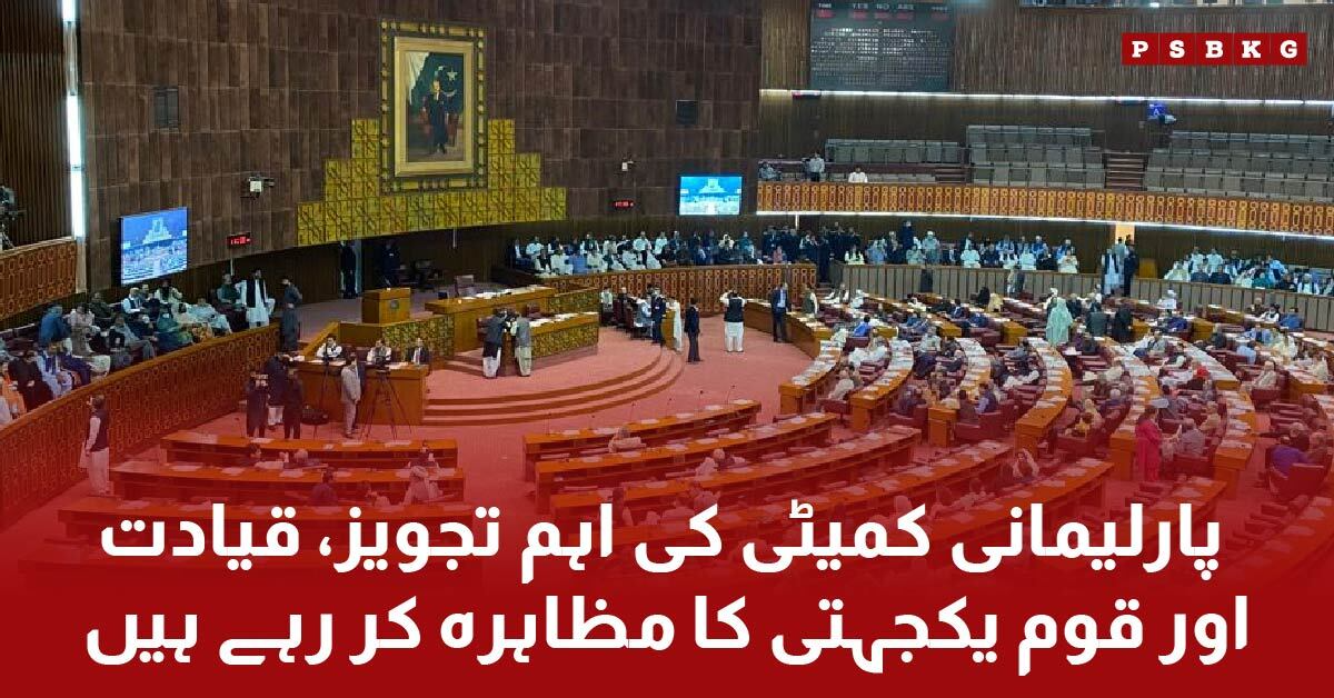 Pakistani parliamentary committee meeting showing national unity and political leaders discussing defense issues