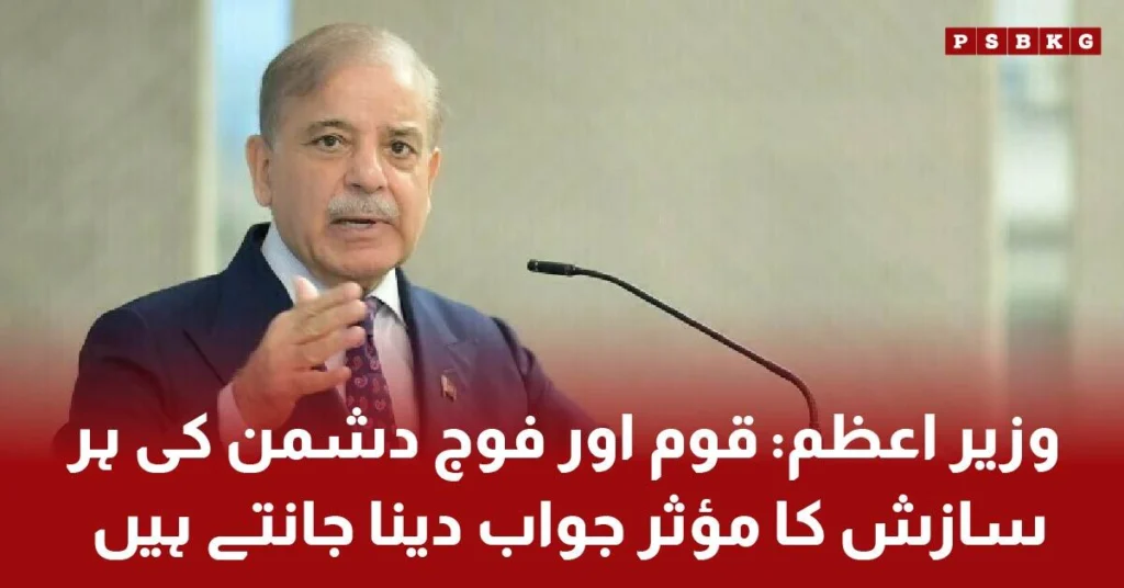 Prime Minister Shehbaz Sharif condemns India's cowardly attack on Pakistan