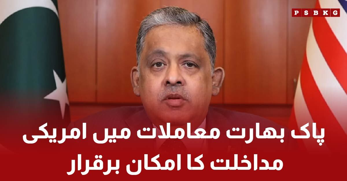 Pakistani Ambassador Rizwan Saeed Sheikh's Statement on India and the Kashmir Issue