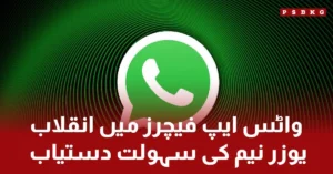 WhatsApp username privacy feature concept illustration