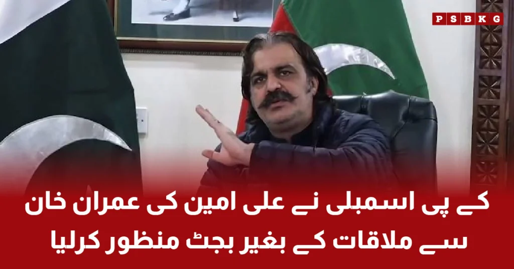 Khyber Pakhtunkhwa Budget 2025 Passed Without Imran Khan's Approval