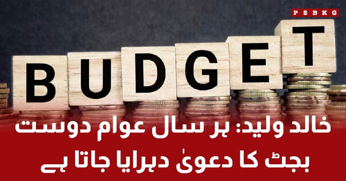 Experts criticize Pakistan's 2025 IMF-influenced budget as anti-public and pro-elite