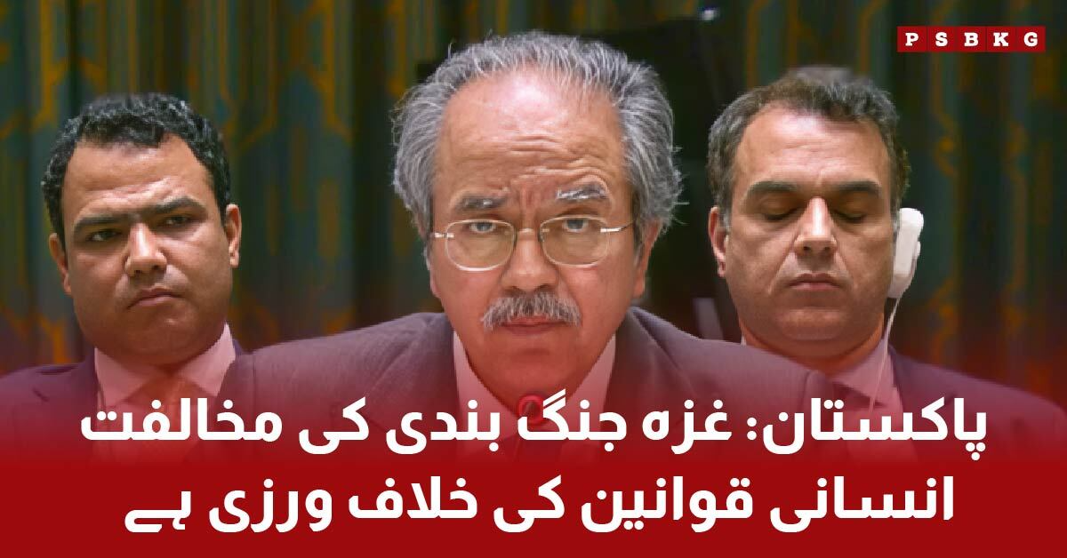 پاکستان کے مندوب عاصم افتخار نے غزہ جنگ بندی قرارداد پر تبصرہ کرتے ہوئے امریکی ویٹو کی مذمت کی اور فلسطینی حقوق کے تحفظ کے لیے عالمی اقدام کا مطالبہ کیا