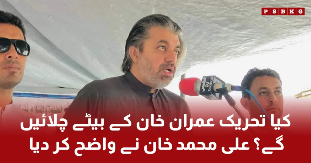 : Ali Muhammad Khan discussing Sulaiman and Qasim's potential return