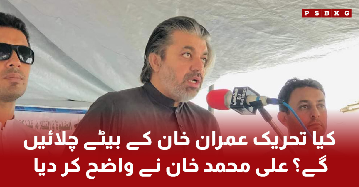 : Ali Muhammad Khan discussing Sulaiman and Qasim's potential return