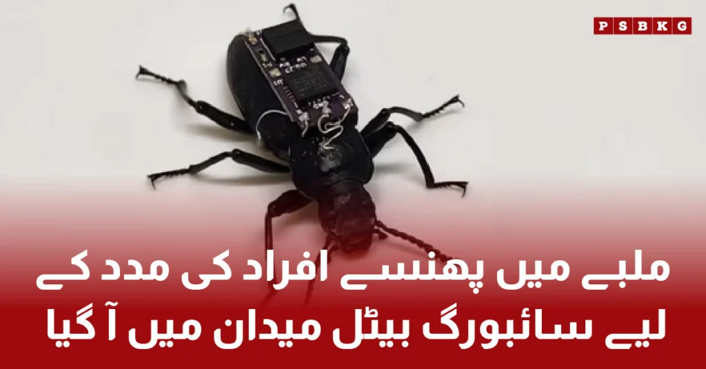 Cyborg beetle equipped with remote-controlled backpack used for rescue missions