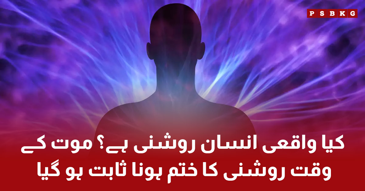 Research shows human body emits invisible light that vanishes at death