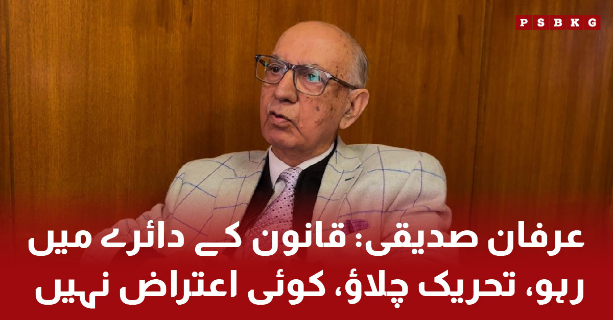 Irfan Siddiqui supports Imran Khan's children joining politics legally