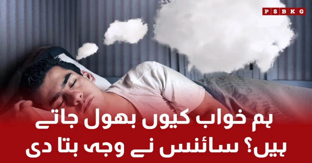 خواب Why we forget dreams after waking up – scientific explanation