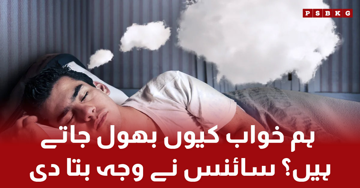 خواب Why we forget dreams after waking up – scientific explanation