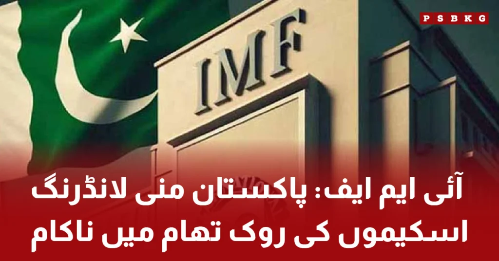 IMF report highlighting Pakistan beneficial ownership system issues 2025