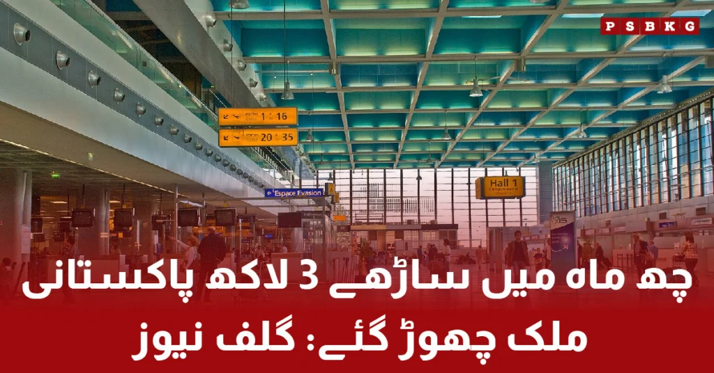پاکستانی Pakistani skilled professionals leaving country due to unemployment