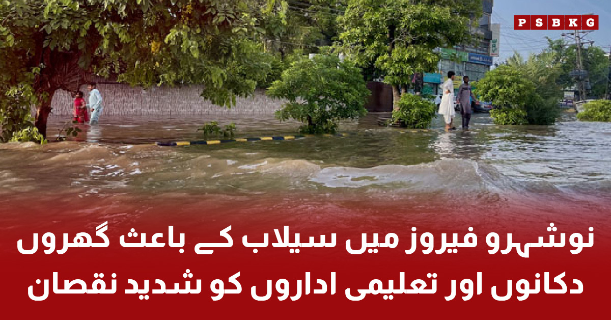 Flood damage in Nowshero Feroz affecting houses shops and schools. Flood damage in Nowshero Feroz.