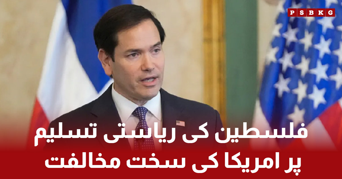 US opposition to Palestine statehood with global reactions