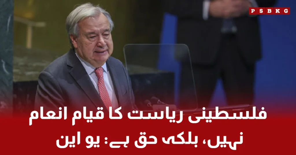 Palestinian statehood is a right, says UN Secretary General