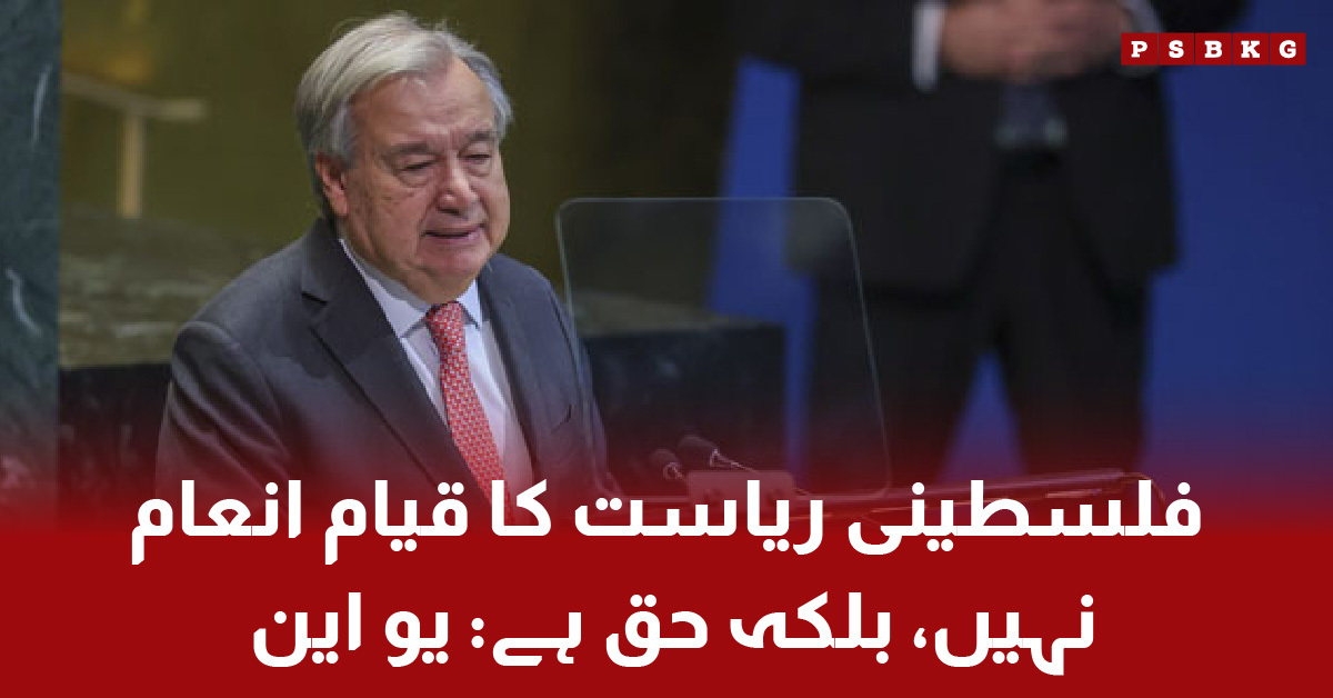 Palestinian statehood is a right, says UN Secretary General