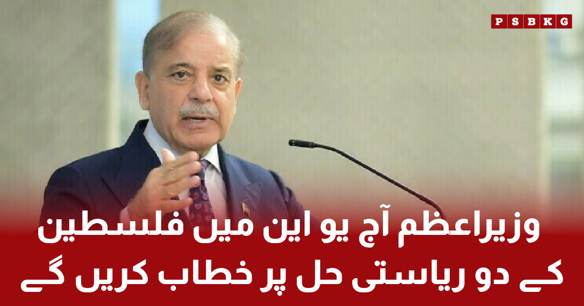 Prime Minister Shehbaz Sharif UN speech on Palestine two state solution