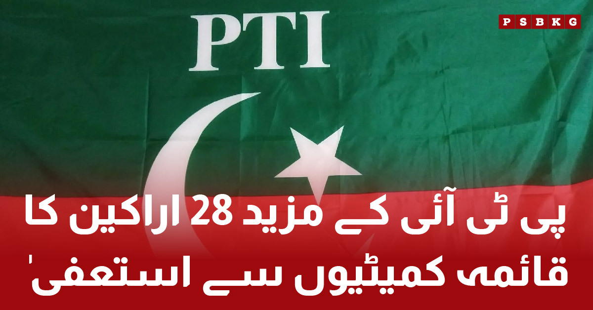 28 More PTI Lawmakers Resign from Standing Committees