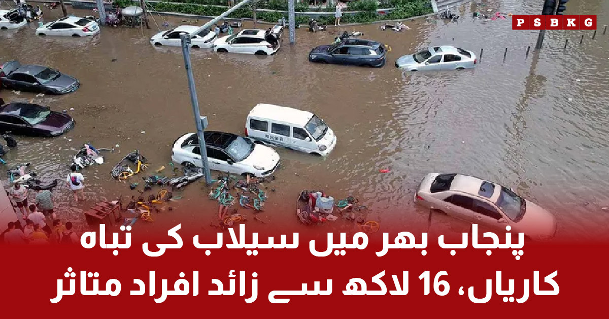 Flood Devastation Across Punjab: Affected People and Regions