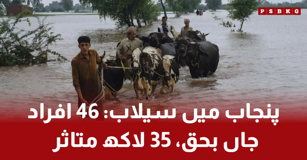 Flood devastation in Punjab, 46 dead and 3.5 million affected