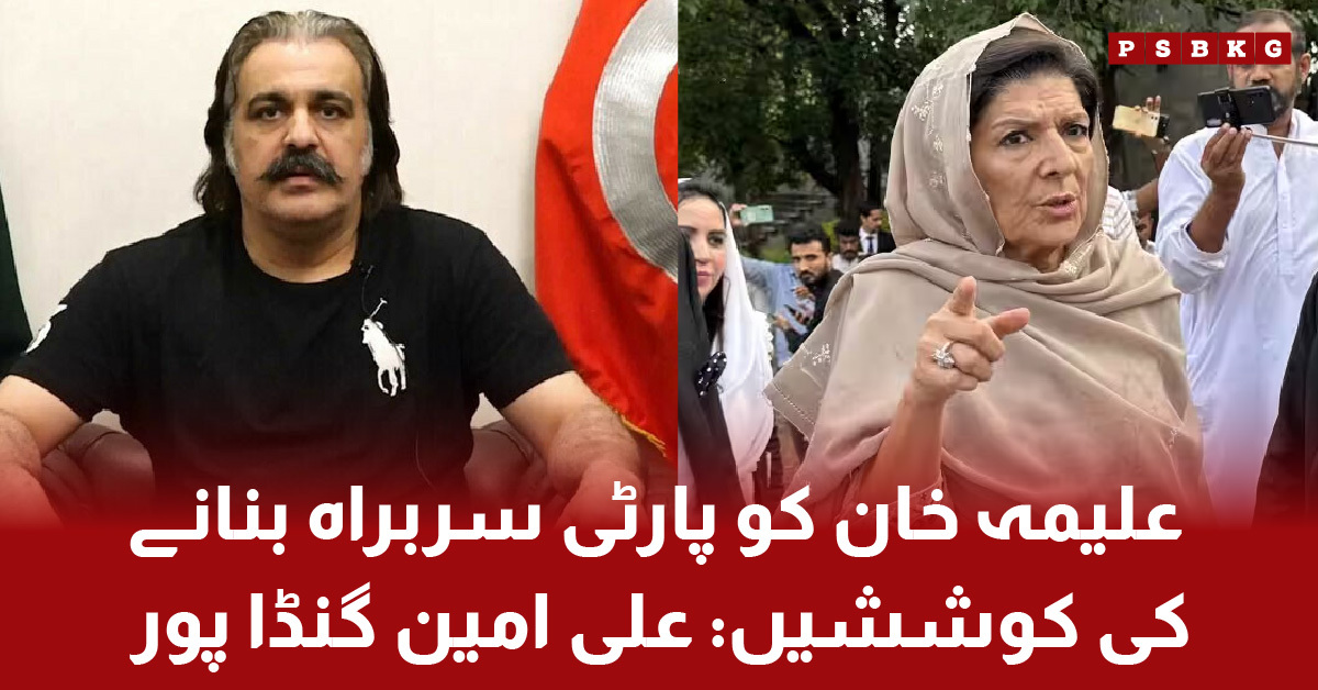 Aleema Khan party leadership controversy highlighted by Ali Amin Gandapur