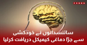 Discovery of SGK1 brain chemical linked to depression and suicidal thoughts