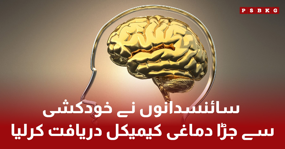 Discovery of SGK1 brain chemical linked to depression and suicidal thoughts