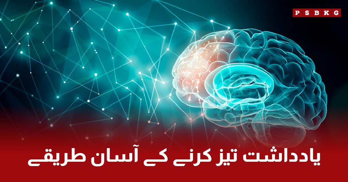 Modern brain research exploring memory improvement through magnetic