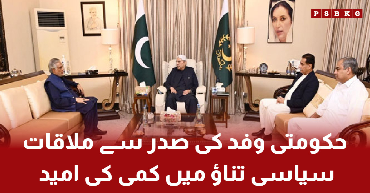 Government delegation meeting President Asif Ali Zardari in Pakistan