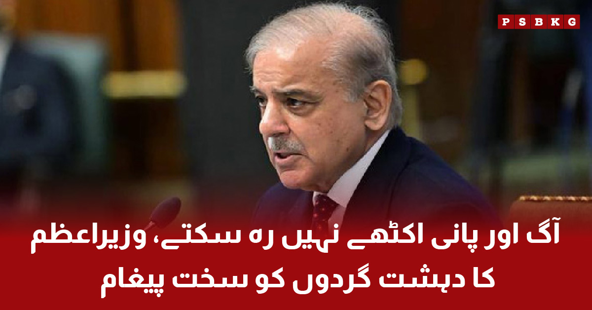 Prime Minister Shehbaz Sharif delivers a strong message against terrorism in cabinet meeting. Prime Minister message terrorists