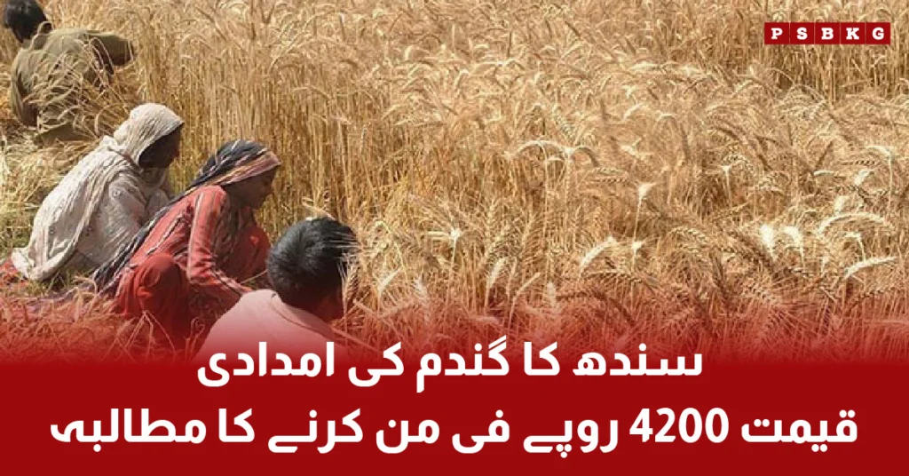 Sindh government demands to set wheat support price at 4200 rupees per maund